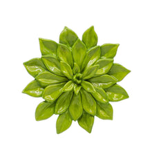 Load image into Gallery viewer, Small Succulent Wall Plaque