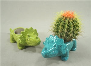 triceratops planter