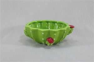 Cactus bowl