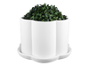Pottery Painting at Wanderlust Botanicals Rochester June 22nd 6pm
