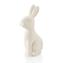 Load image into Gallery viewer, Bunny Figure
