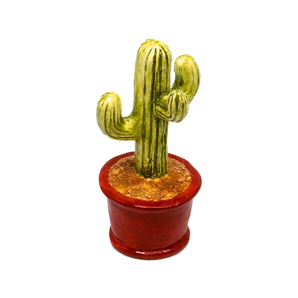 potted cactus