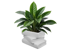 Load image into Gallery viewer, Pottery Painting Night at Muller's Cider House April 23 6pm
