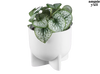 Pottery Painting at Wanderlust Botanicals Rochester June 22nd 6pm