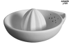 Pottery Painting Night at Fratelli's Italian Restaurant Avon June 24th