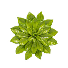 Load image into Gallery viewer, Small Succulent Wall Plaque

