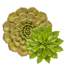 Load image into Gallery viewer, Small Succulent Wall Plaque
